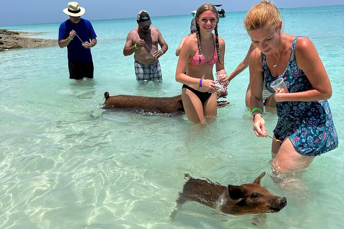 007 Private Beach Club -Swimming Pigs, Snorkeling, Lunch, Drinks - Quick hits before you decide