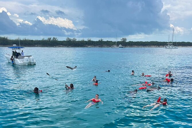 007 Private Beach Club -Swimming Pigs, Snorkeling, Lunch, Drinks - The pig factor: photos, feeding, and an optional pig swim