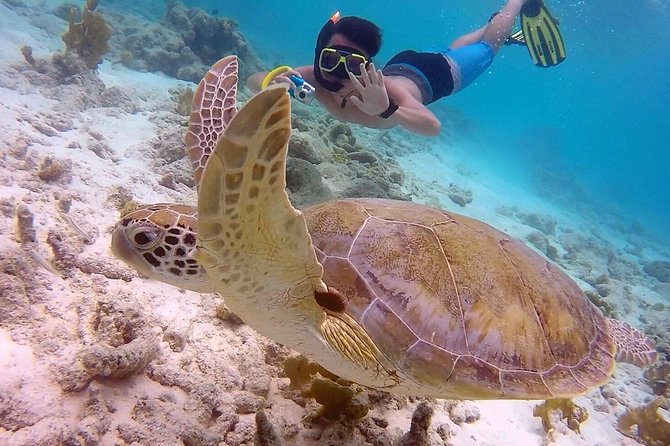 100% Private Charter Snorkel, Sail, Relax (Cruisers Friendly) - Bonaire National Marine Park: Where the Day’s Best Water Time Happens