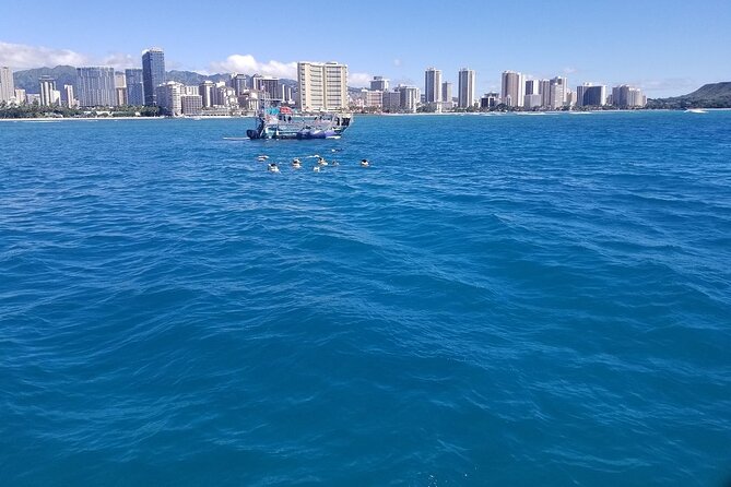 12pm Turtle Canyon Snorkel Adventure - Rough water and motion sickness: the real comfort checklist