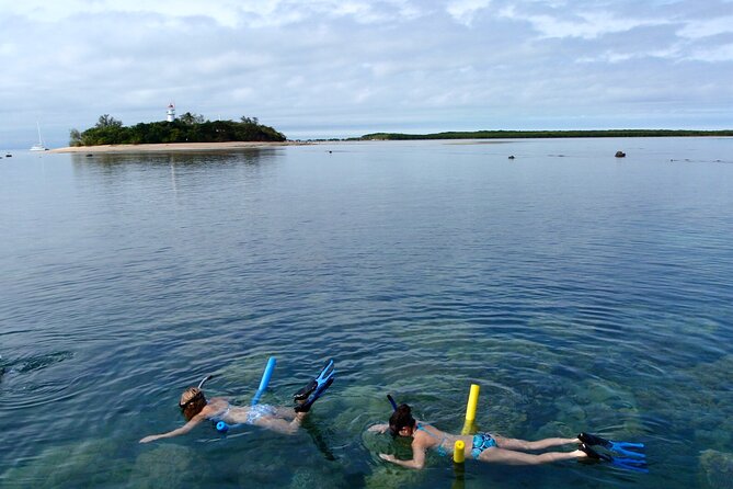 2 1/4 hr Low Isles Reef Sprinter Snorkeling Tour-No Island Access - Why Low Isles Reef without island time is the smart move in Port Douglas