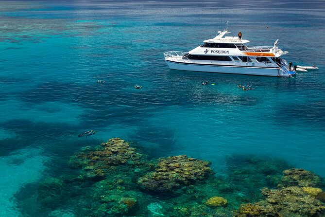 2 1/4 hr Low Isles Reef Sprinter Snorkeling Tour-No Island Access - Timing that fits real vacation days (and doesn’t eat your whole itinerary)