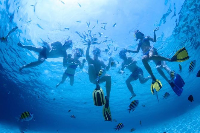 2.5 Hour Xpress Snorkel from Ka’anapali Beach - Why Mala Wharf Is the point of this express snorkel