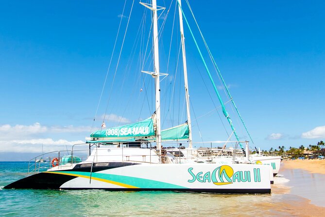 2.5 Hour Xpress Snorkel from Ka’anapali Beach - Gear, crew, and the safety-first vibe that keeps you comfortable