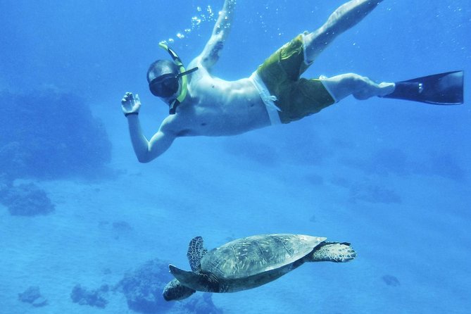 2.5 Hour Xpress Snorkel from Ka’anapali Beach - The 2.5-hour plan: what the schedule feels like in real time