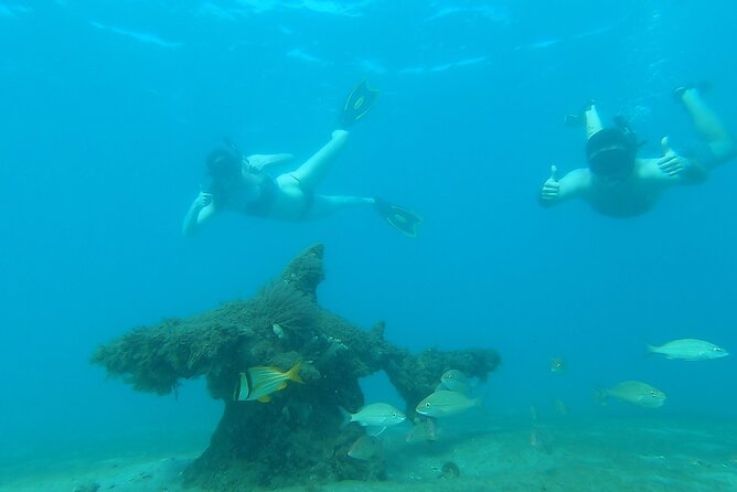 2 ½ - Hour Guided Snorkel Tour of Phil Foster park, Free Videos! - Why Phil Foster Park Works So Well for Snorkeling