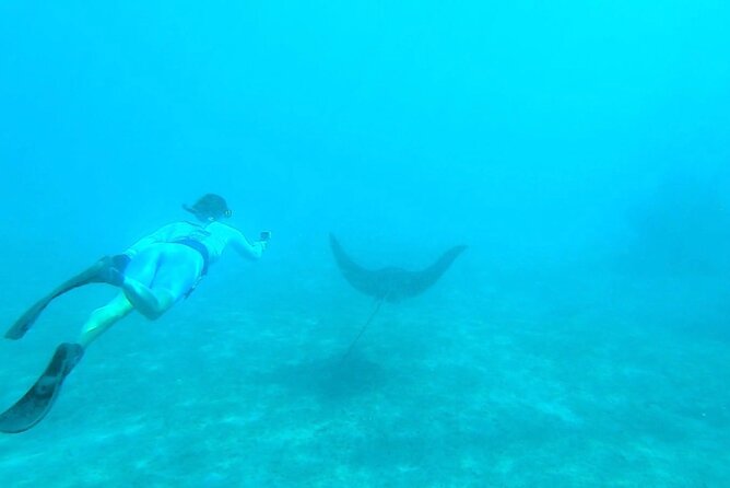 2 ½ - Hour Guided Snorkel Tour of Phil Foster park, Free Videos! - Stop 1 at Phil Foster Park: Shore-to-Reef Snorkeling That Makes Sense