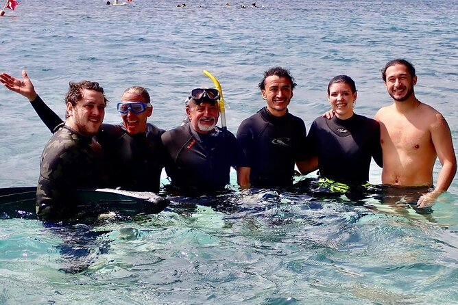 2 ½ - Hour Guided Snorkel Tour of Phil Foster park, Free Videos! - Wildlife You Can Expect to See (Based on Actual Sightings)
