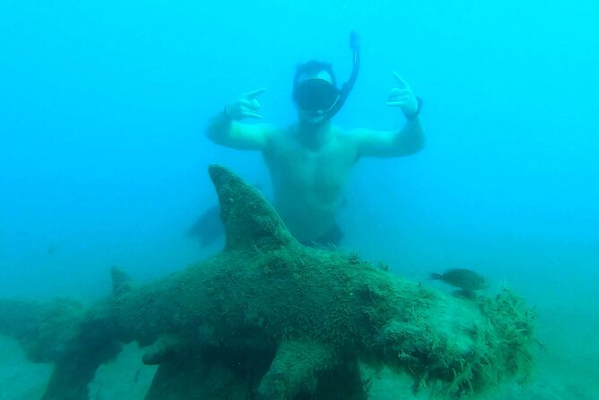 2 ½ - Hour Guided Snorkel Tour of Phil Foster park, Free Videos! - Videos and Photos: The Free Clips vs Optional Full Edits