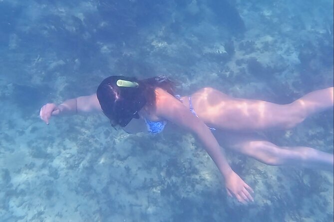 2-Hour Snorkeling in Two Spots of Tulum's Reef - Wildlife etiquette that actually helps you see more