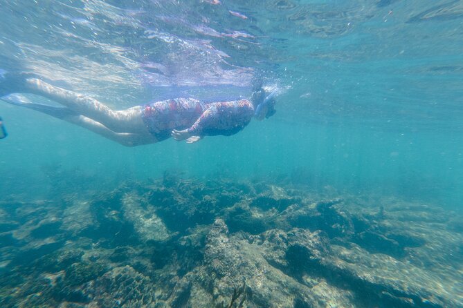 2-Hour Snorkeling in Two Spots of Tulum's Reef - Who should book this tour, and who should think twice