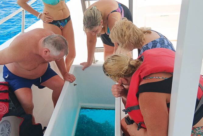 2 Hours Turtle Feeding, Shipwreck & Reef Snorkeling Tour Barbados - Turtle Feeding On The West Coast: Hawksbills Up Close