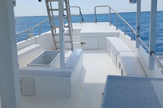 2 Hours Turtle Feeding, Shipwreck & Reef Snorkeling Tour Barbados - Price And Value: Why $65 Can Make Sense For This 2-Hour Format