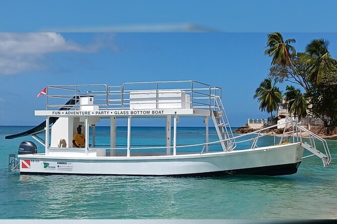 2 Hours Turtle Feeding, Shipwreck & Reef Snorkeling Tour Barbados - Who Should Book This Turtle And Shipwreck Tour (And Who Should Rethink It)