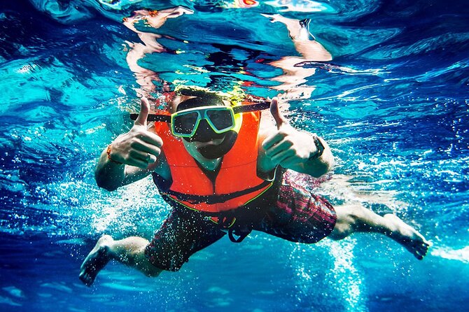 2-Stop Snorkeling and Dolphin Cruise from Destin - Price and Value: Why $50 Can Feel Like a Deal