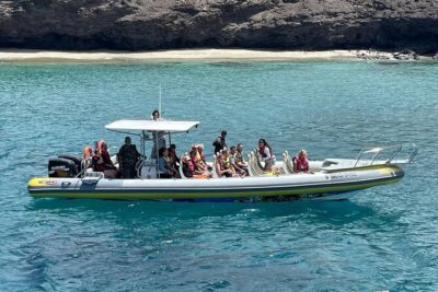 2h Dolphin and Whale Viewing + Snorkeling Tour - The speedboat ride: waves, spray, and managing seasickness