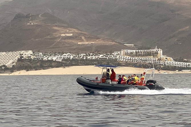 2h Dolphin and Whale Viewing + Snorkeling Tour - Should you book this tour? My quick call