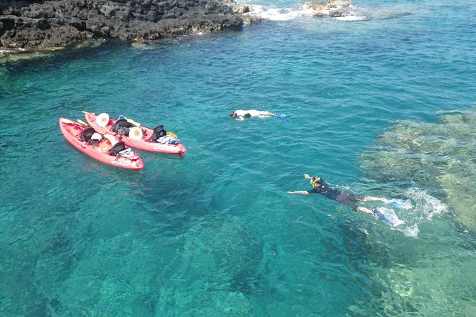 3.5 Hour Kailua-Kona Ocean Kayak and Snorkel Tour - Key Points Worth Booking