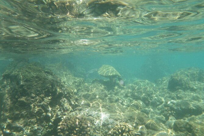 3.5 Hour Kailua-Kona Ocean Kayak and Snorkel Tour - What’s the Pacing Like Across the 3.5 to 4 Hours?