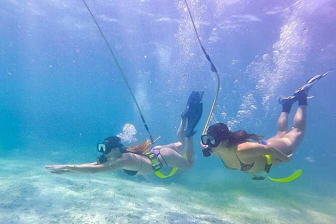 3 ADVENTURES: Sailing Catamaran Cruise - Hooka Diving - Snorkeling - Key Points That Matter Before You Go