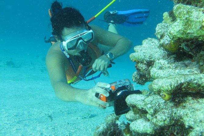 3 ADVENTURES: Sailing Catamaran Cruise - Hooka Diving - Snorkeling - Underwater Hookah Sessions: Fun, Comfort, and a Reality Check
