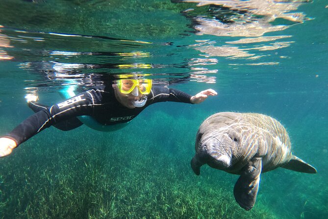 3 Hour Manatee Swim - Small Group w/complimentary photos! - Key things to know before you go