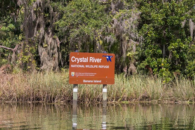 3 Hour Manatee Swim - Small Group w/complimentary photos! - The setting: Crystal River’s Kings Bay, not a pool