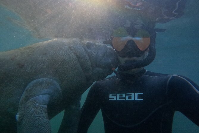 3 Hour Manatee Swim - Small Group w/complimentary photos! - Snorkeling with manatees: calm rules, close moments
