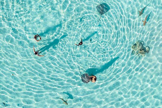 3-Hour Snorkeling Tour - Key highlights worth your time