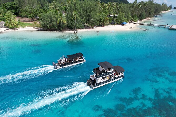 3-Hour Snorkeling Tour - Tiahura: the ray-and-shark snorkeling stop where guidance matters