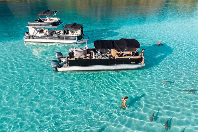 3-Hour Snorkeling Tour - Price and value: what $121.46 buys you in Moorea time