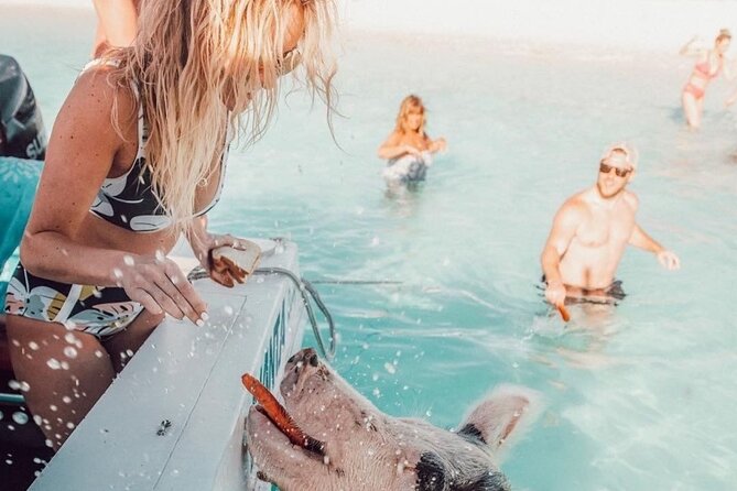 3 Islands Tour, Swim with Pigs, Turtles, Snorkelling & lunch - Stop 2: Pearl Island Snorkel Over Coral Reefs