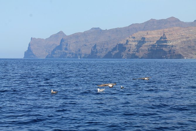 3h Boat Trip + Snorkeling in Puerto de Mogan - Photos and drone footage: what’s included and what depends on weather