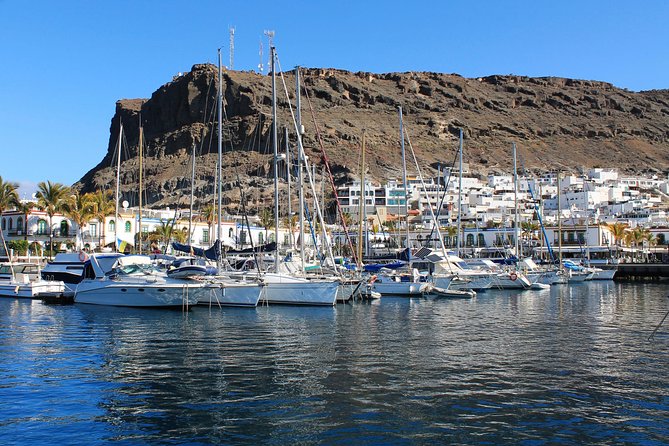 3h Boat Trip + Snorkeling in Puerto de Mogan - Deck time, paddle board, and how families fit in