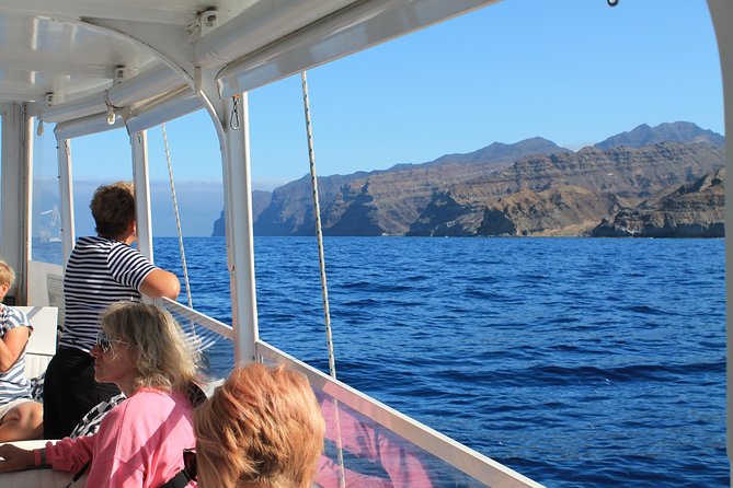 3h Boat Trip + Snorkeling in Puerto de Mogan - What could go wrong: the swim requirement and wave sensitivity