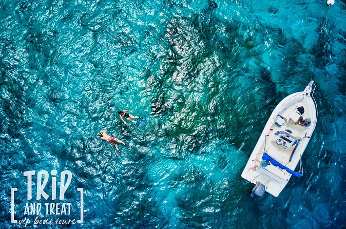 3H or 4H | Private Boat Trip | Swim, Board or Snorkel - Stop 1: Tugboat Wreck Snorkeling (Shallow, Fish-Friendly, Time Well Used)