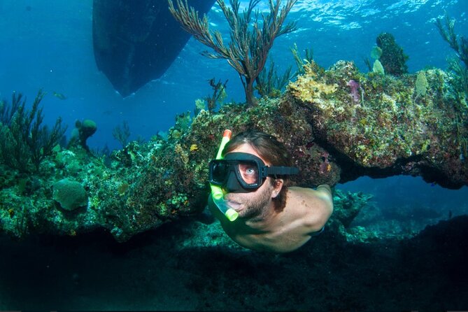 3HR Emerald reef snorkeling, iguana island and shipwreck tour - Key Highlights Worth Knowing