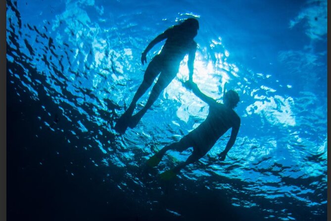 3HR Emerald reef snorkeling, iguana island and shipwreck tour - Emerald Reef Snorkeling: Clear Water And Lots To See