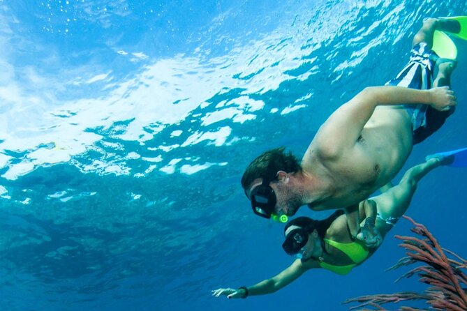 3HR Emerald reef snorkeling, iguana island and shipwreck tour - Little Water Cay And Iguana Island: Wildlife Time On Foot