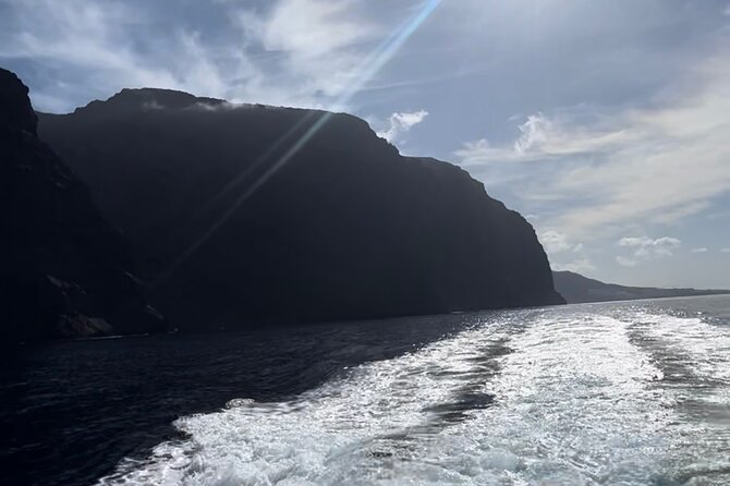4 Hour Boat Tour with Snorkeling from Puerto Rico and Mogan - The boat experience: luxury feel, but boarding is something to consider