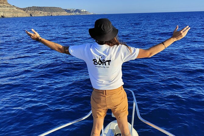 4 Hour Boat Tour with Snorkeling from Puerto Rico and Mogan - Food and drinks on board: the day’s quiet value driver