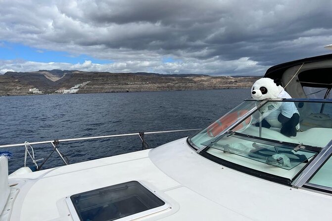 4 Hour Boat Tour with Snorkeling from Puerto Rico and Mogan - Crew that makes the trip smoother (and sometimes funnier)