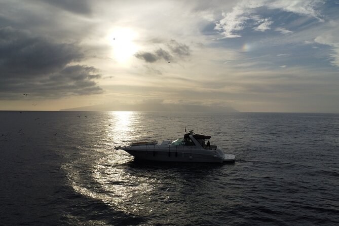 4 Hour Boat Tour with Snorkeling from Puerto Rico and Mogan - Price and value: what $90.74 is buying you