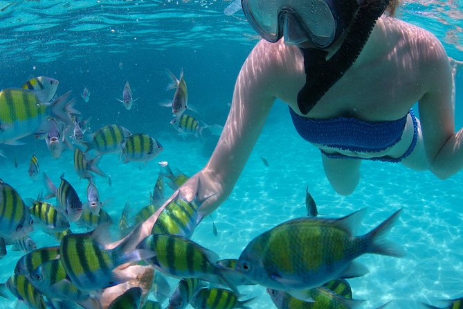 4-Hour Catamaran Sail and Snorkel Tour from Grace Bay - Price and value: what you’re getting for $145.84