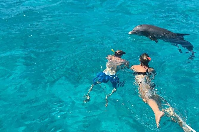 4 Hour Private Catamaran Sail and Snorkel from Grace Bay Beach, Providenciales - Half Moon Bay vs. Little Water Cay: Iguanas and Sandbar Walks