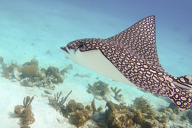 4 Hour Private Catamaran Sail and Snorkel from Grace Bay Beach, Providenciales - Drinks, Food, and the Crew’s Attention to Detail