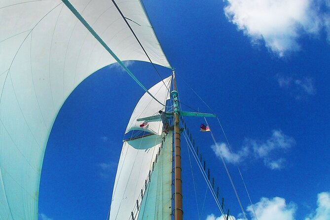 4-hour snorkel cruise to Underwater Sculptures with boat dogs - Lunch, rum punch, and the open bar value math