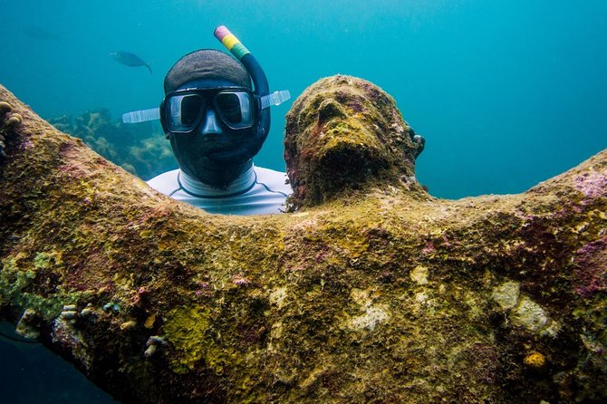 4-hour snorkel cruise to Underwater Sculptures with boat dogs - Snorkeling gear reality: equipment is included, but expect no fins