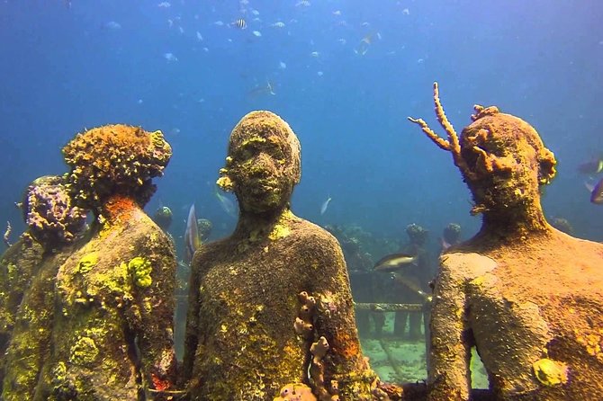 4-hour snorkel cruise to Underwater Sculptures with boat dogs - Getting to St. George’s and meeting Corsair Sailing Charters