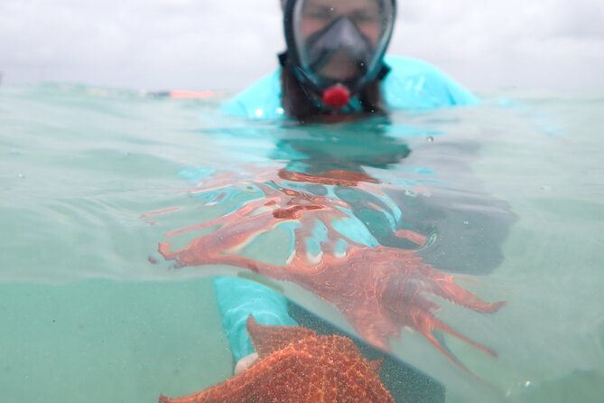 4-Stop Stingray, Snorkel, Star Fish & 7 Mile Beach (Family Owned) - Why Stingray City feels special on this family-owned setup